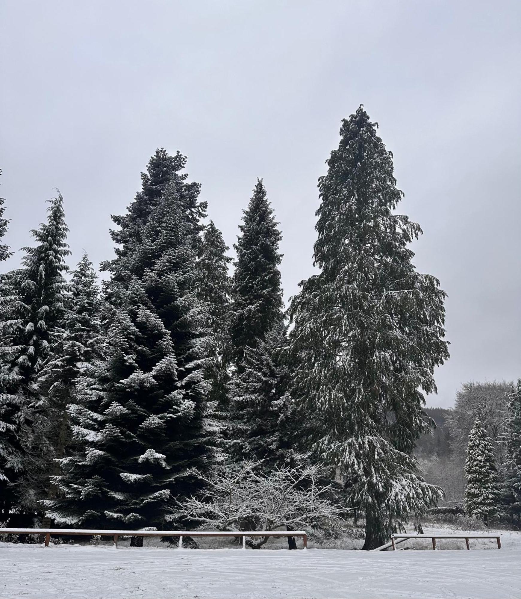 Kinnaird Woodland Lodges Pitlochry Εξωτερικό φωτογραφία